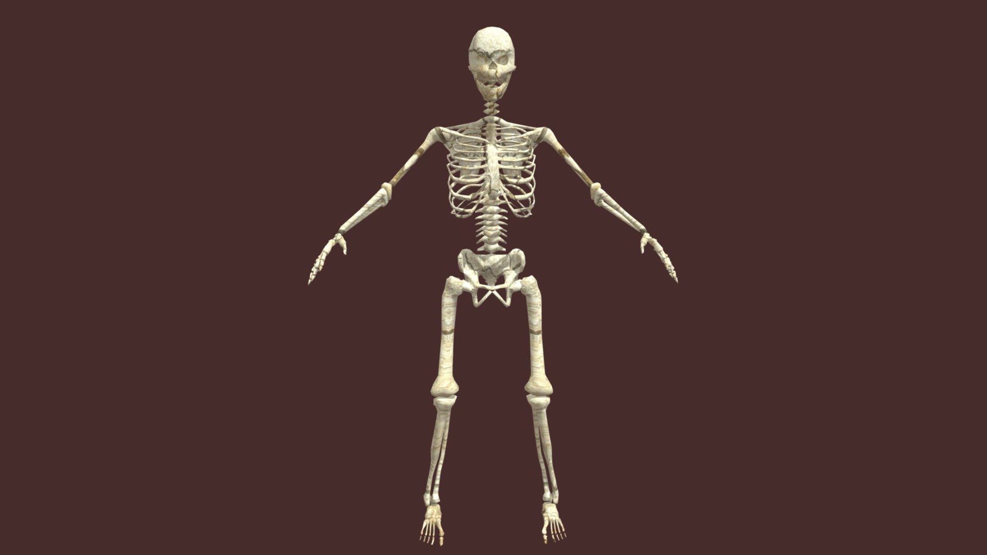 Straight forward low poly skeleton.

Features:

-Low Poly (9,000 tris)

-Ready for Unity and Unreal

-Fully rigged - Skeleton-Low Poly - Download Free 3D model by Everret 3d model