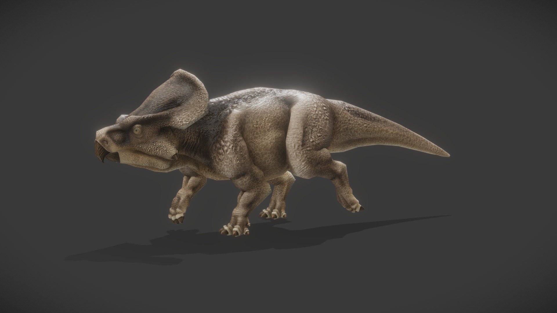 A reworked version (textures) of my Protoceratops Andrewsi.

Made with Blender and Gimp.

– For more dinosaurs, don't hesitate to take a look at my Prehistoric Animals collection and subscribe to it to stay tuned of new creatures. – - Protoceratops Andrewsi - Buy Royalty Free 3D model by Kyan0s 3d model