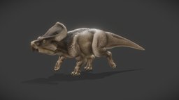 Protoceratops Andrewsi