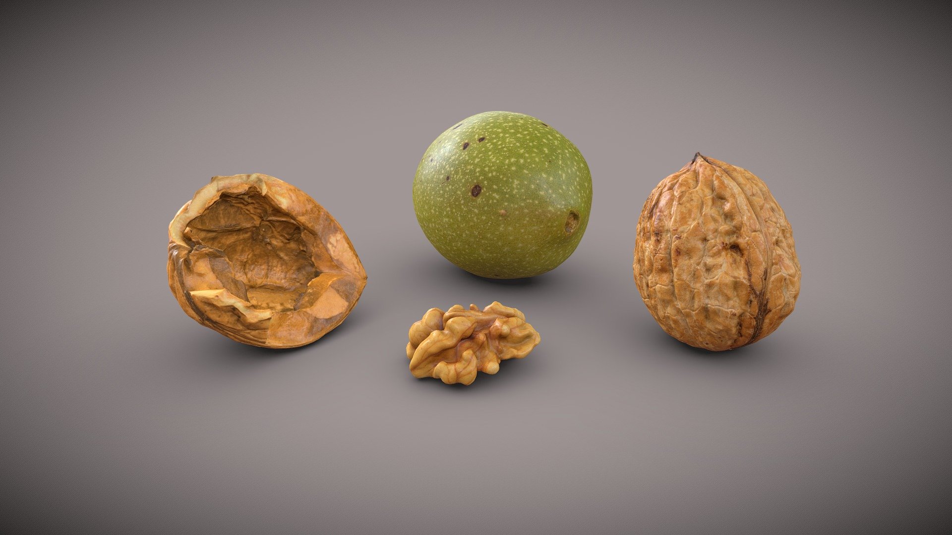 Contains 4 different meshes:




1 Walnut

1 Walnut in growth

1 Walnut kernel

1 Walnut shell (Half)

4 Materials, 2K textures (Diffuse, Roughness, Normal)

Please dowload the additionnal zip file to get access to the separated fbx mesh

Made with Metashape, Blender and Subtance painter

Photos taken with a “Sony A7II + 105mm f/2.8 DG DN Macro Art”



If you have any questions, contact me.

 
 

 - Walnut Pack - Buy Royalty Free 3D model by Zacxophone 3d model