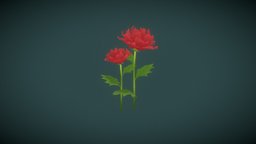 Chinese Rose flower, rose, chinese, handpainted, lowpoly, stylized