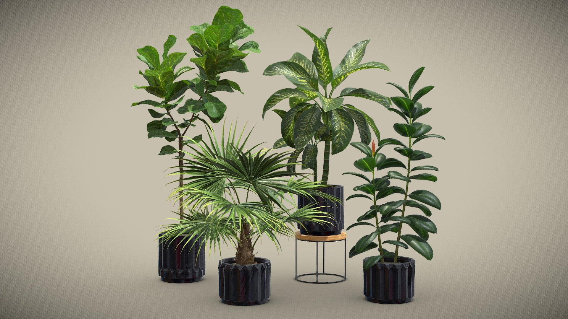 Indoor Plants Pack 45

This selection of indoor exotic plants will provide a nice touch to your interior renders.




Ficus Lyrata Fiddle Leaf Fig

Ficus Elastica Rubber Tree

Dieffenbachia Dumb Cane

Livistona Chinensis

4k Textures




Vertices  58 558

Polygons  50 897

Triangles 100 205
 - Indoor Plants Pack 45 - Buy Royalty Free 3D model by AllQuad 3d model