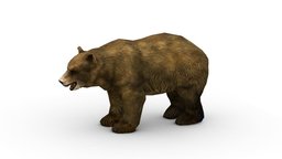 Lowpoly Cartoon Brown Bear bear, forest, medieval, polygonal, teeth, hero, predator, cave, brown, claws, mmo, npc, grizzly, bears, dangerous, wool, mammals, paws, lowpolygonal, low-polygonal, character, cartoon, game, texture, lowpoly, low, military, characters, fantasy, war, slaws