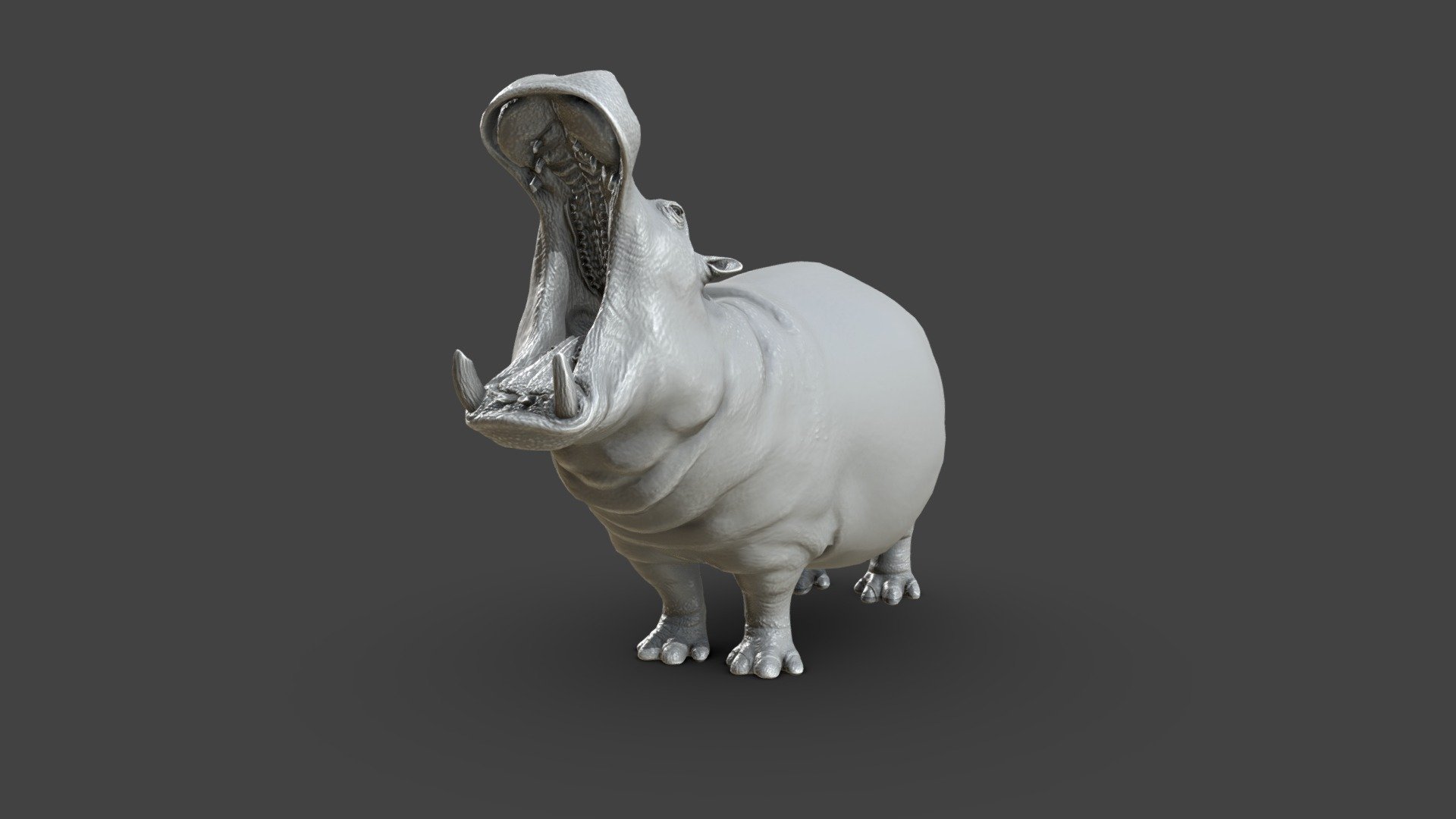 Click the link to get the model:


https://www.artstation.com/a/27997144
Hippopotamus model was made in Zbrush and retopo and UV Unwrap in  Maya with proper topology and looping with Unwraped UV and no over lapping.

Ready for sculpting and texturing&hellip;

File format:





Obj




Fbx




Maya file




Blender file




Zbrush file 



Inside the product:





clean topology




Single Udim 




unwrapped Uvs for texturing




no overlapping UVs




proper naming and grouping




no unwanted shaders and history.



You May also like:


👉 https://skfb.ly/oQ9oN 👈
 - Hippopotamus Sculpt - Buy Royalty Free 3D model by Tashi59 (@tsering) 3d model