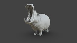 Hippopotamus Sculpt