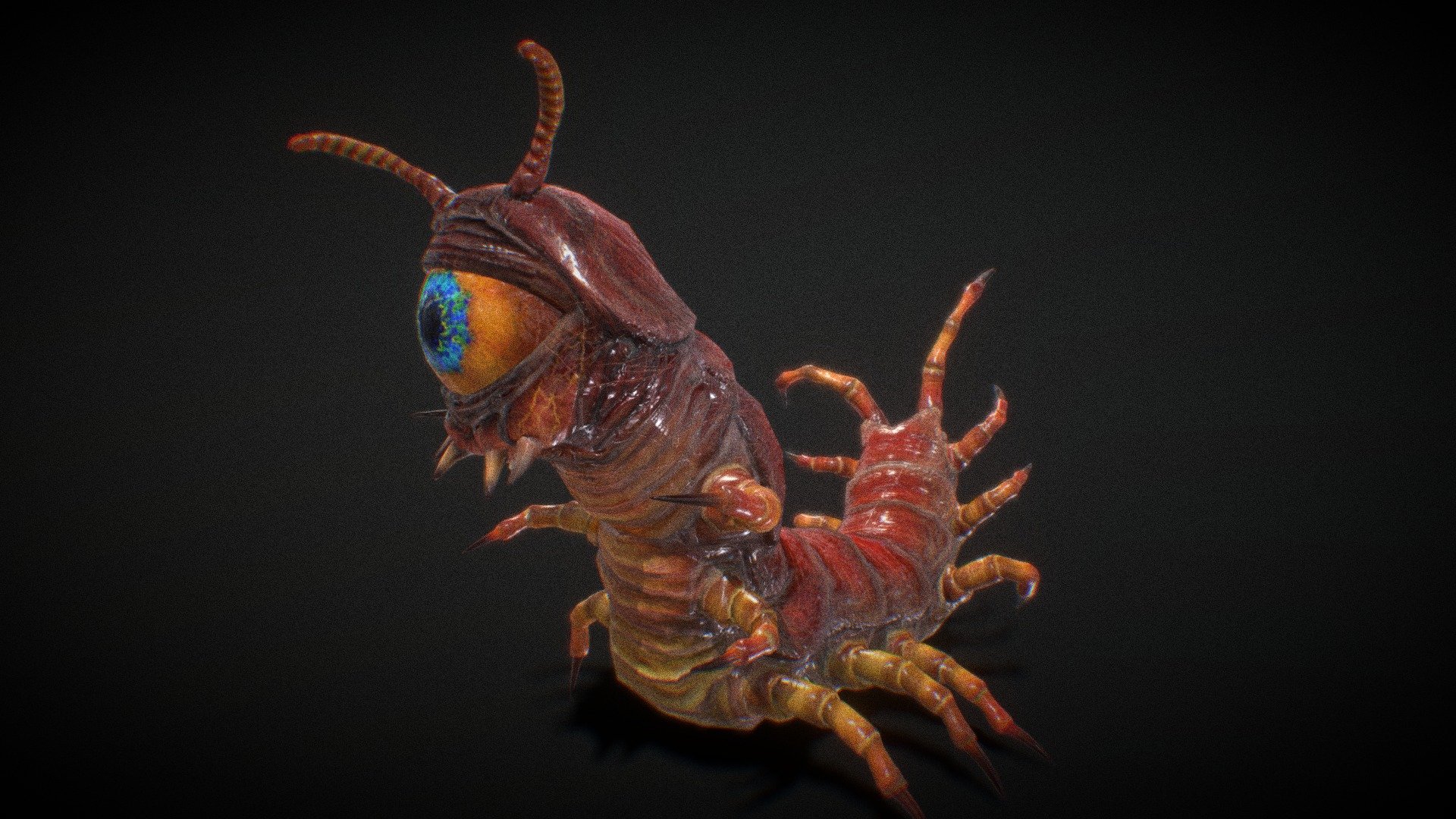 Oculon, Eyeball Centipede Monster, Rigged and Animated. Game ready.

Concept: A sort of centipede eyeball monster inspired from a popular classic game.




Rigged.

Low poly density.

Game ready.

Animations included.

Easy to pose, easy to animate.

4096 x 4096 res texture and normal maps.

Includes Blender 3d File, Original (Renders in Cycles) 

This model was created for use in a game engine, but the detail has been retained for higher-resolution and general applications 3d model