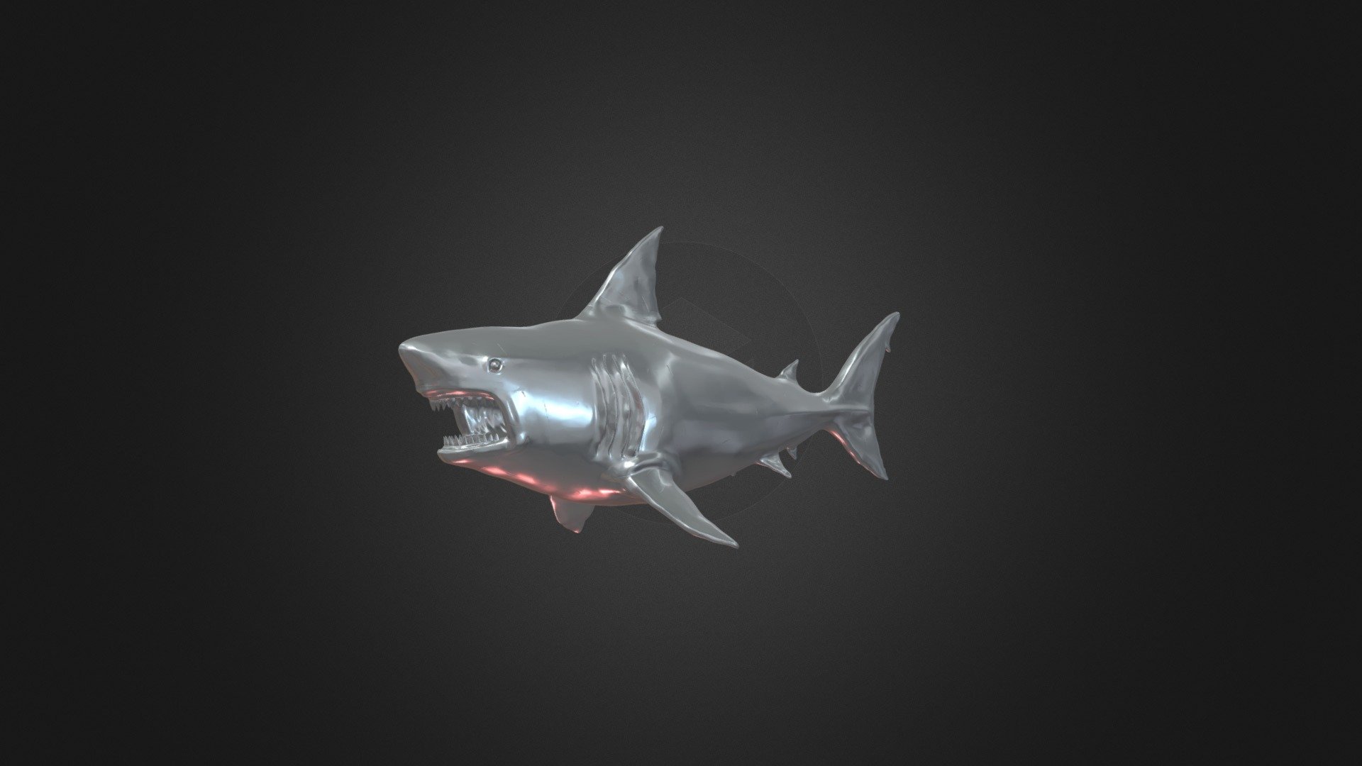 Sharks are a group of elasmobranch fish characterized by a cartilaginous skeleton, five to seven gill slits on the sides of the head, and pectoral fins that are not fused to the head. Modern sharks are classified within the clade Selachimorpha and are the sister group to the Batoidea 3d model