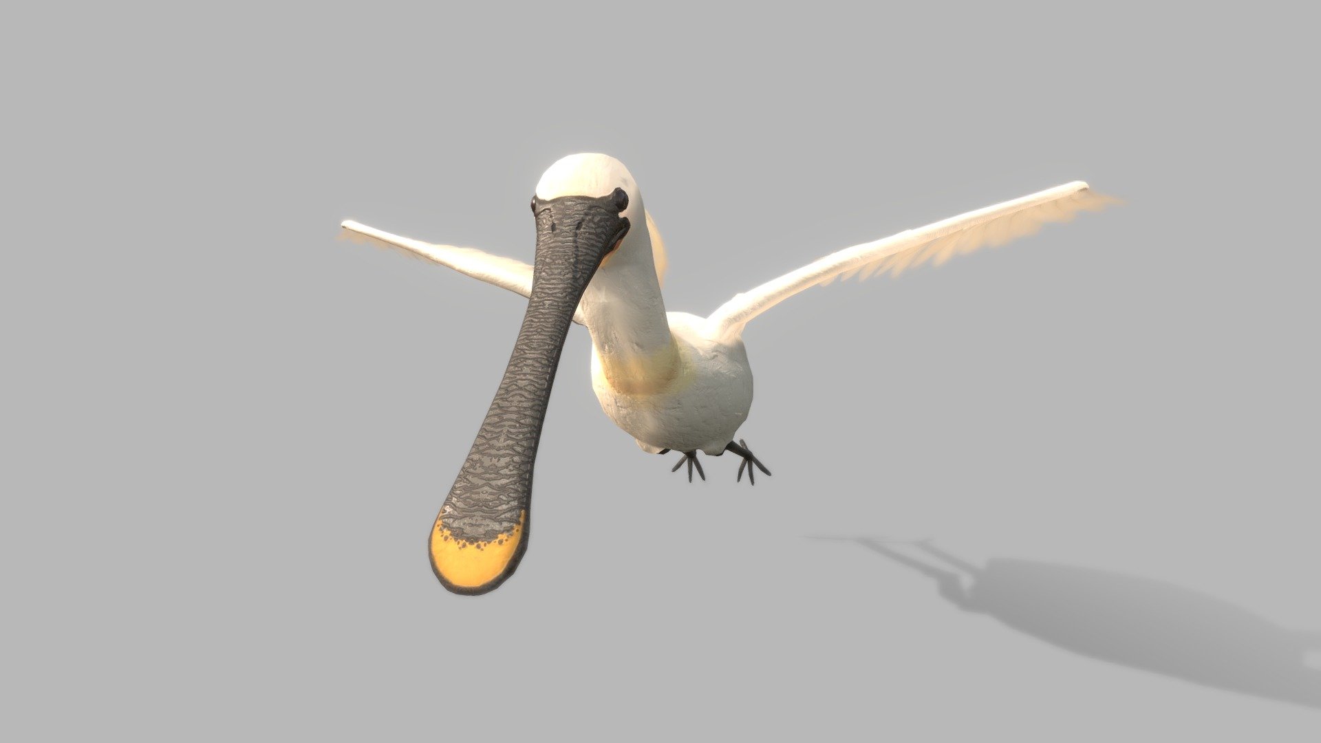 This model was made during my internship at RoyalHaskoningDHV.
I've modeled this spoonbill to represent the population that migrate to this mudflat area during the warmer seasons.
Final scene in Unity where this model was used:





My socials!

🐦 Twitter

🎥 YouTube
 - Spoonbill - 3D model by Suggo (@SuggoCreations) 3d model