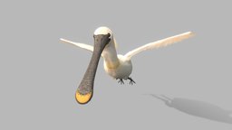 Spoonbill flying, bird, netherlands, feathers, substancepainter, blender, rhdhv, spoonbill, noai
