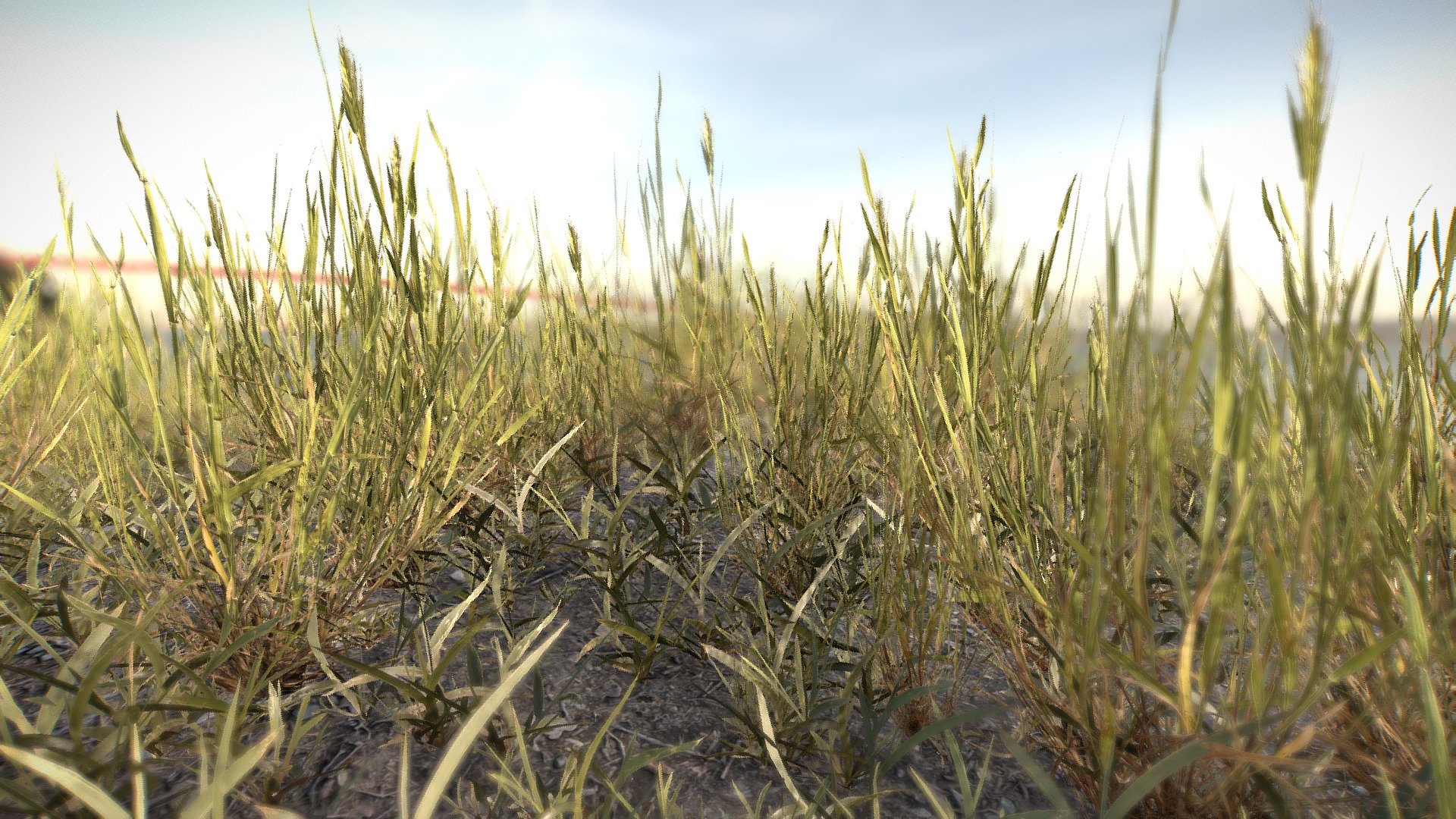 A good reference or gameobject to a computer game, renders, ect&hellip;

4k difuse map, normal map, concavity map, ambient occlusion map&hellip;

4 low poly models of grass chunks + terrain tile texture

enjoy :)

Much more on the Artstation page: https://danielskl.artstation.com/projects/q1aWe - Simple grass chunks - Download Free 3D model by 3dhdscan 3d model