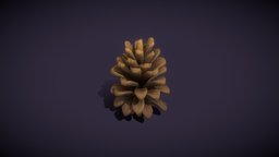 Cartoon Pine Cone 3D Model