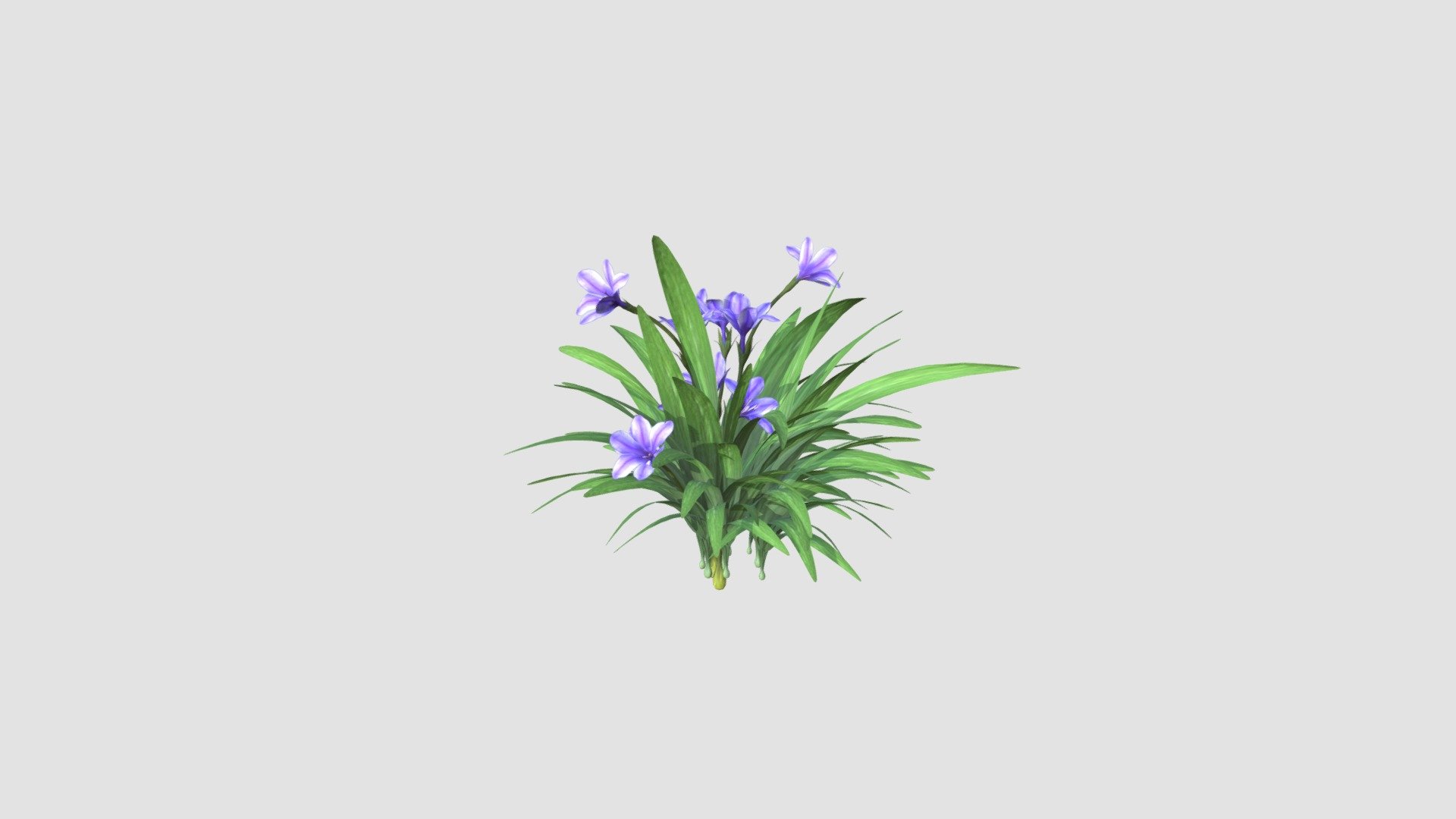 Highly detailed model of plant with all textures, shaders and materials. It is ready to use, just put it into your scene 3d model