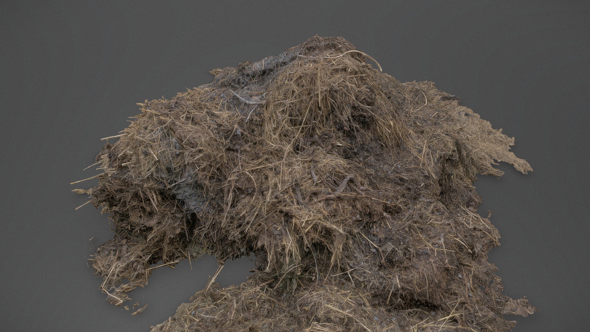 Wet pile heap stack of dry grass hay mixed with some horse manure dung in meadow with some leaves and weed

Photogrammetry scan 140 x 36MP, 4x8K texture - Wet farm manure hay pile - Buy Royalty Free 3D model by matousekfoto 3d model