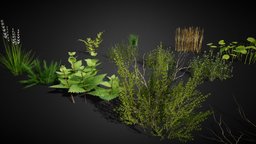 Ground Cover Foliage Asset Pack