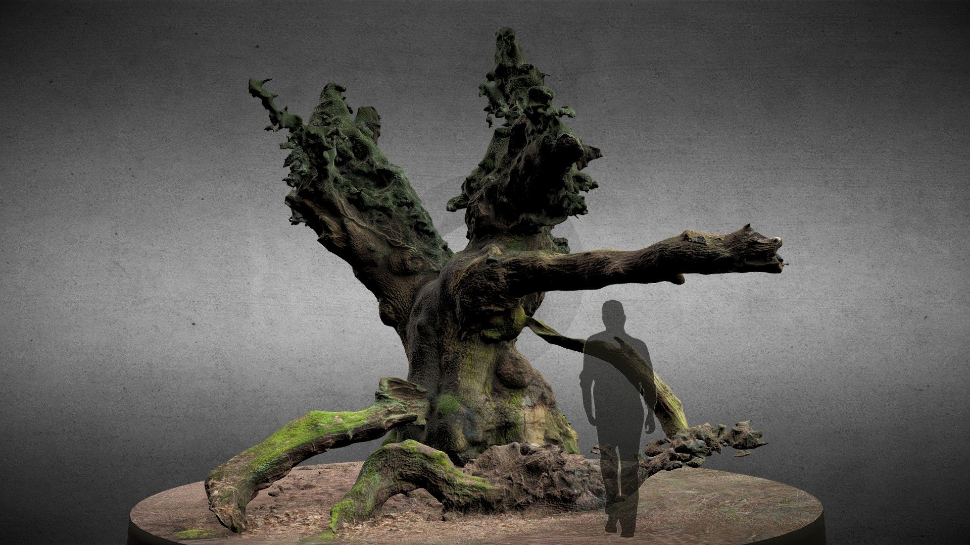 The Savernake Forest hides some of Britain's oldest and most bizarre oak trees. 
The trunk of this huge oak was overgrown by an ivy leaving only a few branches remain alive.

wikipedia


https://history.wiltshire.gov.uk/gallery/map/savernake_map004.jpg

silhouettes: http://www.freepik.com - Old Oak with Ivy - Savernake forest - 3D model by Mario_Wallner 3d model