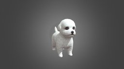 White Puppy Animation 