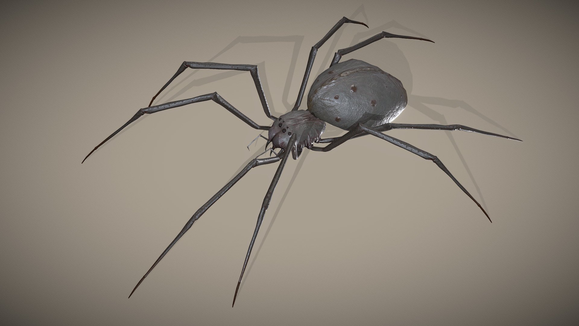 Spider Creature asset with 7 animations for your game project!

Included files:





Unity/Unreal: Channel packed textures




Basic IK- Rig (for Maya 2022/ 2023/ 2024)




7 color variations




7 Animations (Walk, Run, Attack, JumpAttack, Idle, IdleWeb, Die)




4K Textures




Original ZBrush file (.ztl)



ArtStation - Spider Monster - with animations - Buy Royalty Free 3D model by Bugawuga 3d model