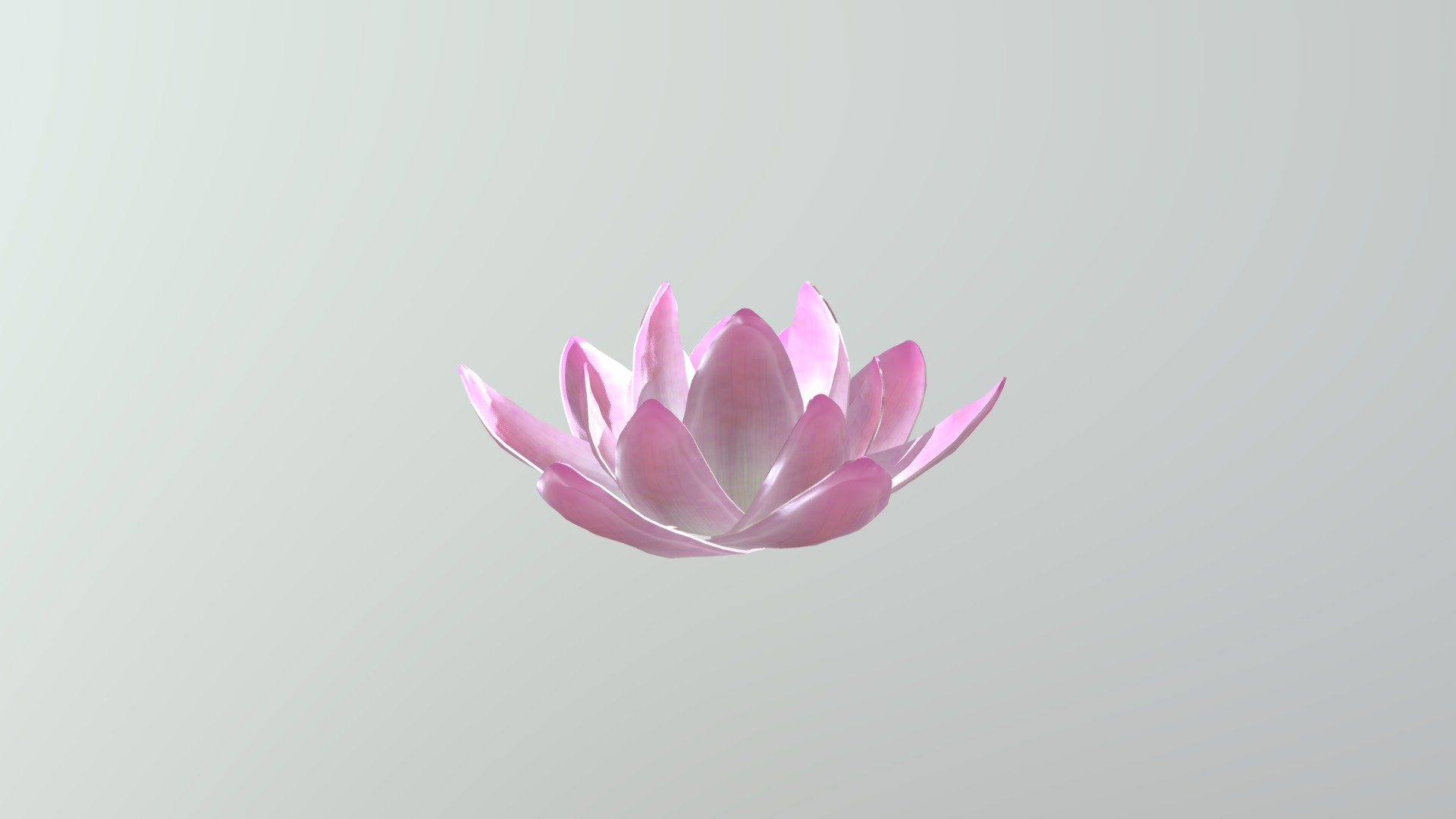 Lotus - 3D model by rjsgml5698 (@rjsgml56981) 3d model