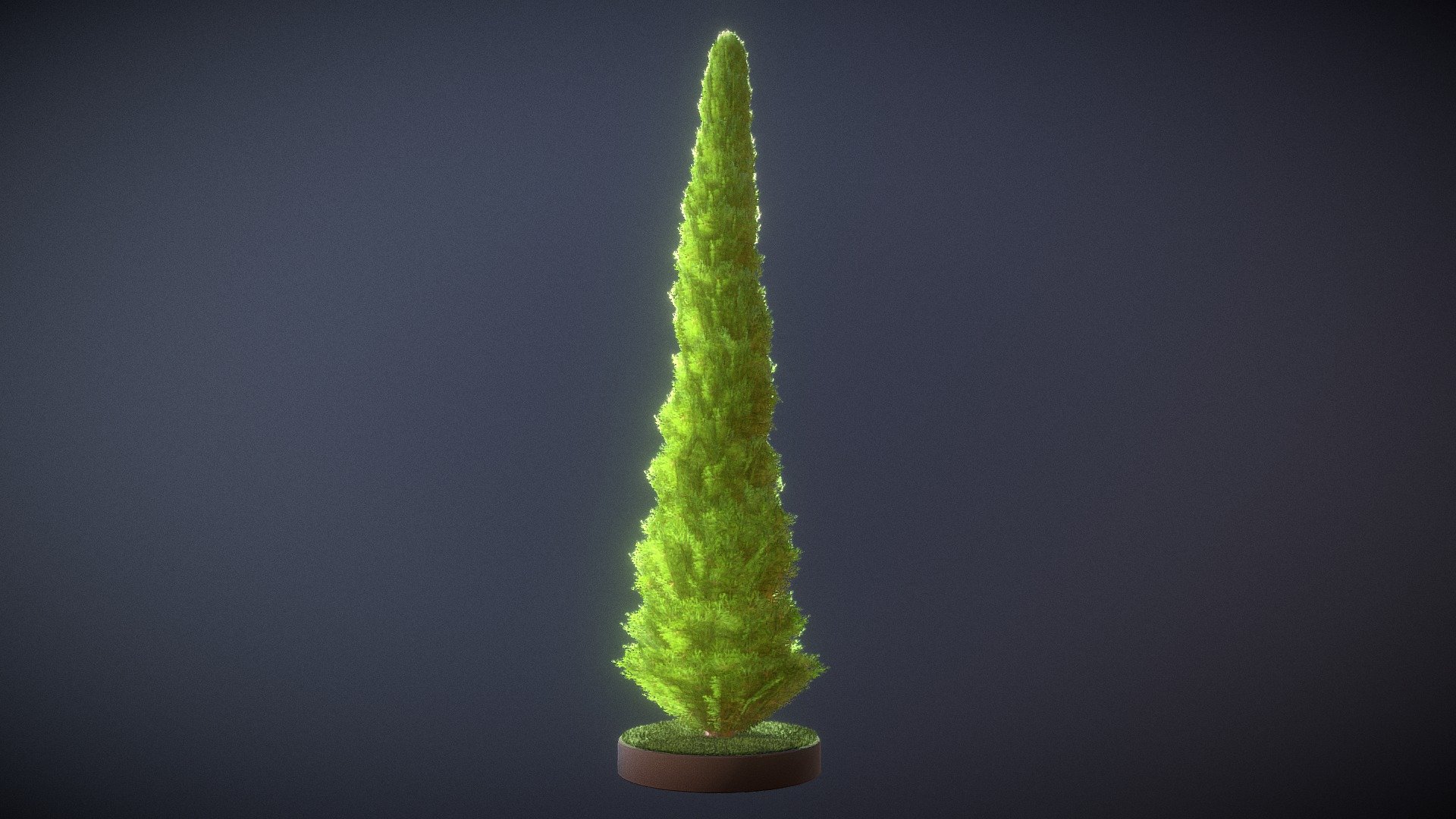 Here is a 8 meter high cypress for your garden scene or house visualization project.







Textures(4k):




Color map

Mask texture for the transparency

Normal map



Here on Sketchfab you can view or purchase some of our 3d-models which we are using in our projects for VIS-All.

The models were created by 3DHaupt for the Software-Service John GmbH.

3D-Model was modelled and textured in blender.


 - Cypress - Version 13 - 8 Meter - Buy Royalty Free 3D model by VIS-All-3D (@VIS-All) 3d model