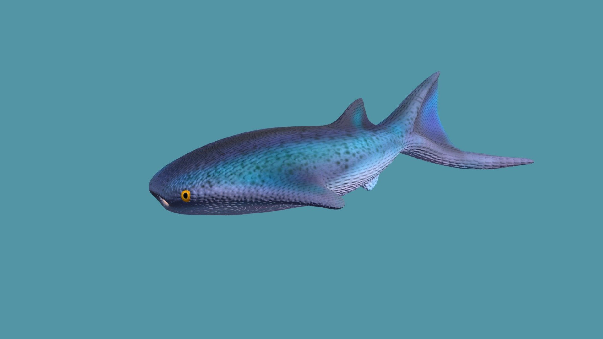 The Thelodus is an extinct genus from the Silurian period. They were part of the jawless fish and their bony scales are often used as guide fossils 3d model