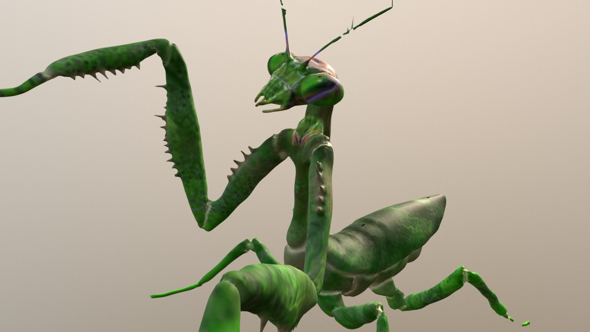 Praying Mantis - Praying Mantis - Download Free 3D model by VirReal4 3d model