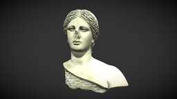 Buste de Vénus roman, venus, godess