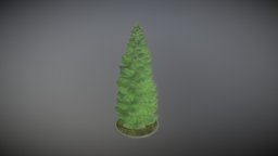 Spruce Tree tree, forest, flora, version, game-ready, spruce, vis-all-3d, 3dhaupt, software-service-john-gmbh, forest-tree, low-poly, lowpoly, blender3d