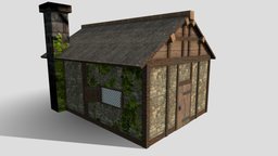 Small Medieval House