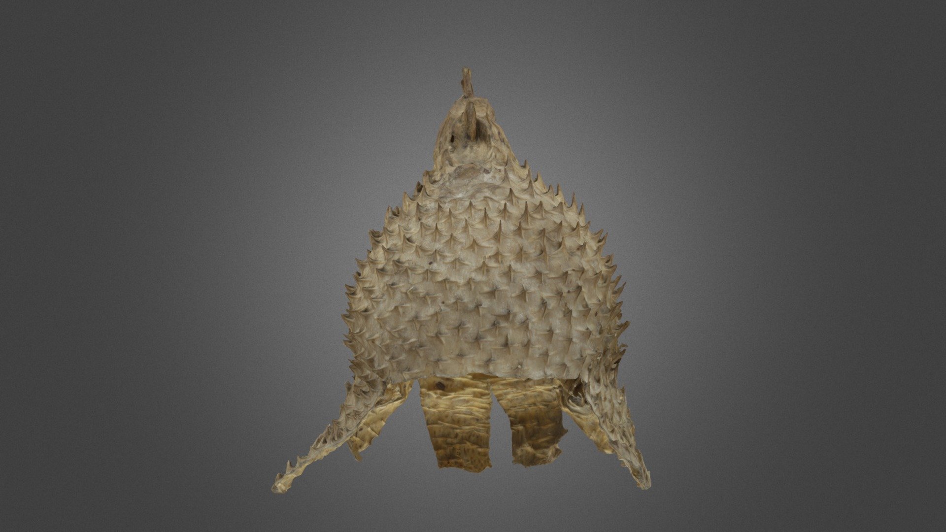 9000.10.0273
Porcupine fish helmet from Kiribati, Oceania.

Oceanien
Gilbertöarna; Mikronesien; Micronesia
Hjälm, taggfiskhjälm.

Kiribati - Porcupine fish helmet - Download Free 3D model by Världskulturmuseerna (@varldskulturmuseerna) 3d model