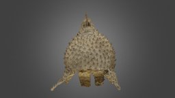 Porcupine fish helmet pufferfish, helmets, porcupinefish, varldskulturmuseerna, kiribati, etnografiskamuseet