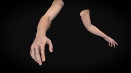Male Hand Rigged people, arms, fair, men, man, human, rigged, hand, skin