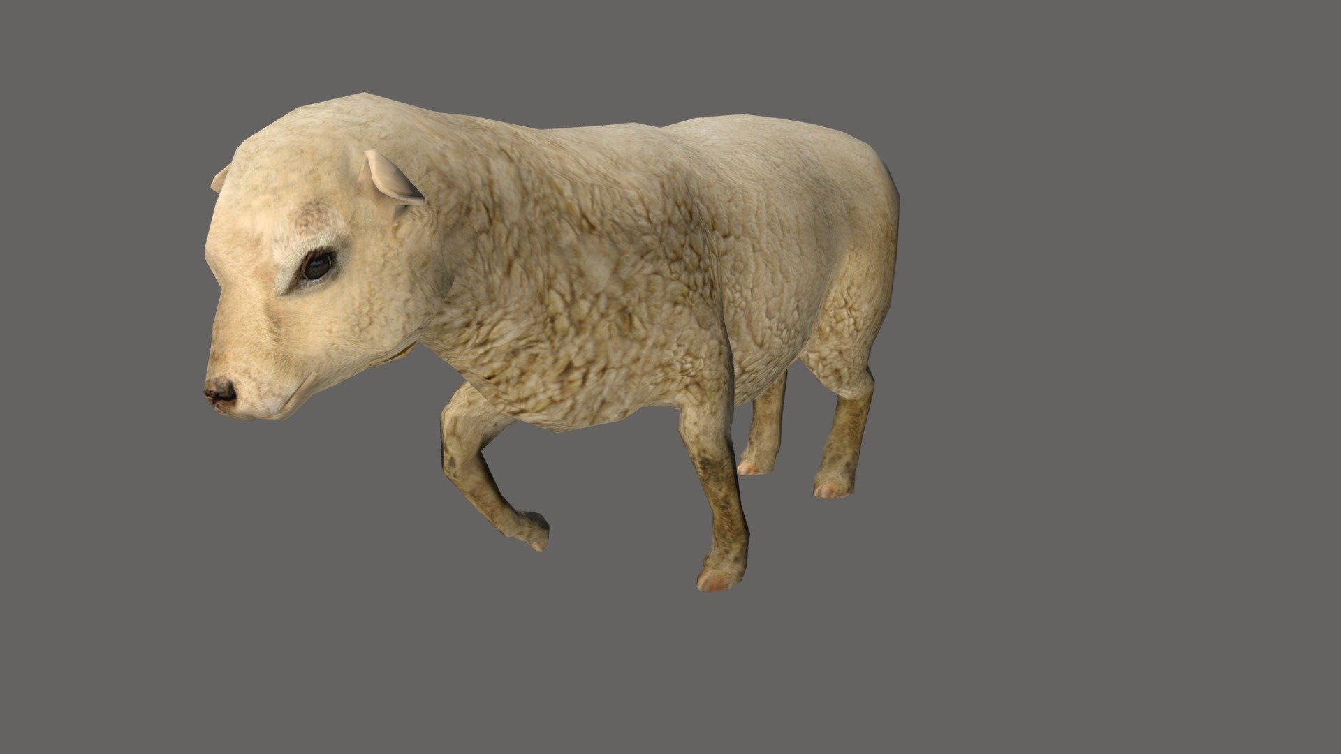 Sheep - 3D model by josluat91 3d model