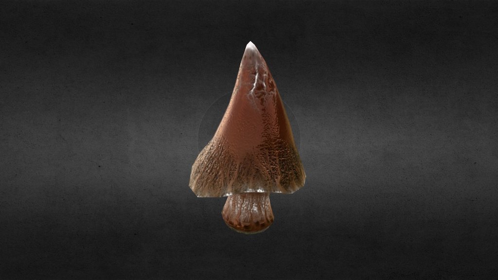 Fantasy mushroom, size of a house 3d model