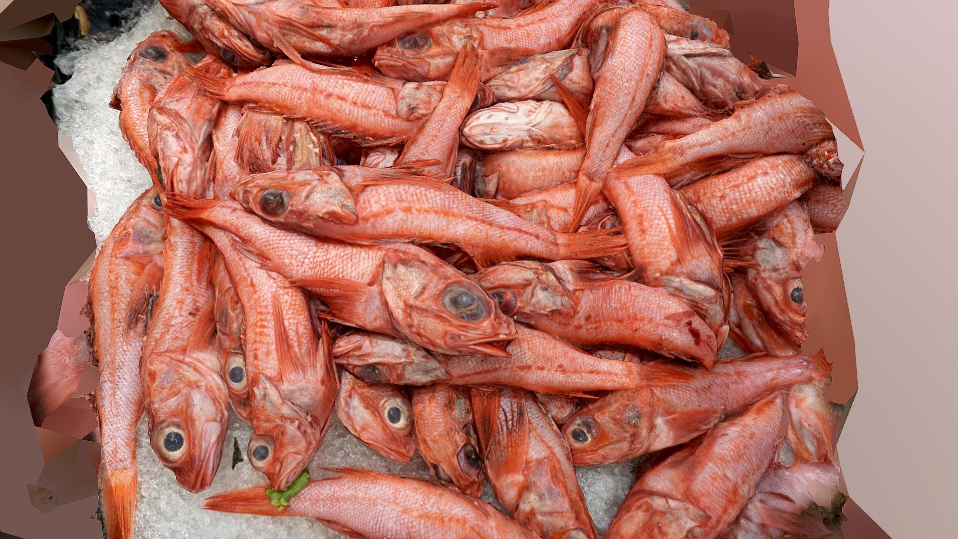 San Francisco California Chinatown Market                               from 18 images - Fresh Red Fish - Buy Royalty Free 3D model by John Toeppen (@toeppen) 3d model