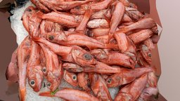 Fresh Red Fish san-francisco-california-chinatown-market, foodscanchallenge, realitycapture
