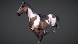 Horse(Stallion)  |Game Ready| mammal, stallion, horse, animal, animated, gameready