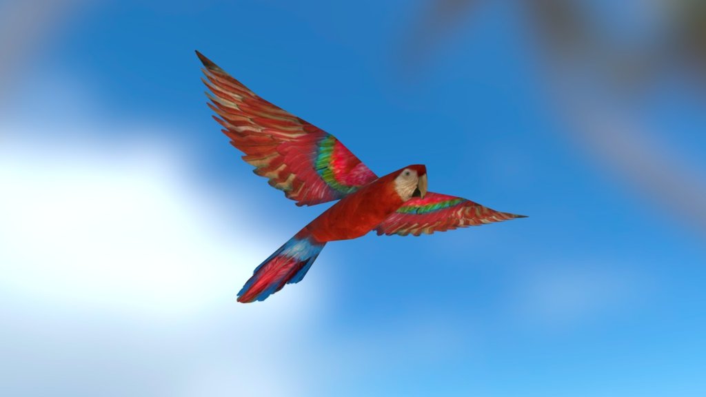 Parrot (Low poly - RTS game) - 3D model by joscanper 3d model