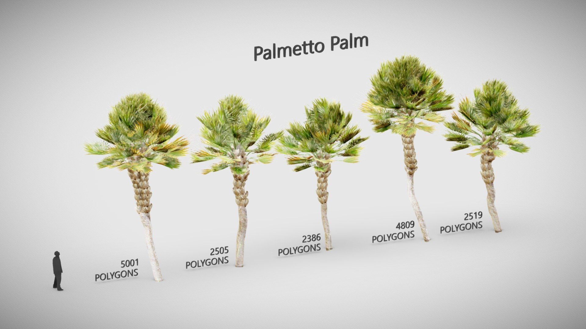 **Palmetto palm low poly **




IN FBX FILE FORMAT ( version 7.5 (2016)

You can use this  Palmetto palm low poly  model.
easily in ur advertising or visualisation projects..

*NOTE Whenever you buy any model.
Please check the quality of the model,  UV'S and its texture size.
And if you have any kind of problem in a model.
So feel free to contact with me
**





My Email : ubros27@gmail.com




Please don't forget to rate the model, for us it is very important :)


 - Palmetto palm low poly - Buy Royalty Free 3D model by UJJWAL CHAUHAN (@Ujwal-Chauhan) 3d model