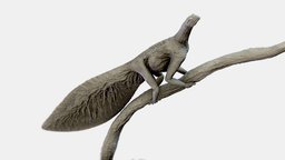 Hypuronector on branch (For 3D Printing) stl, tree, printing, sla, leaf, paleontology, dinosaurs, reptile, mesozoic, resin, paleoart, paleo, triassic, trias, 3dprint, 3d, dinosaur, dino, hypuronector, drepanosaur, drepanosauria, sauria, monkeyreptile