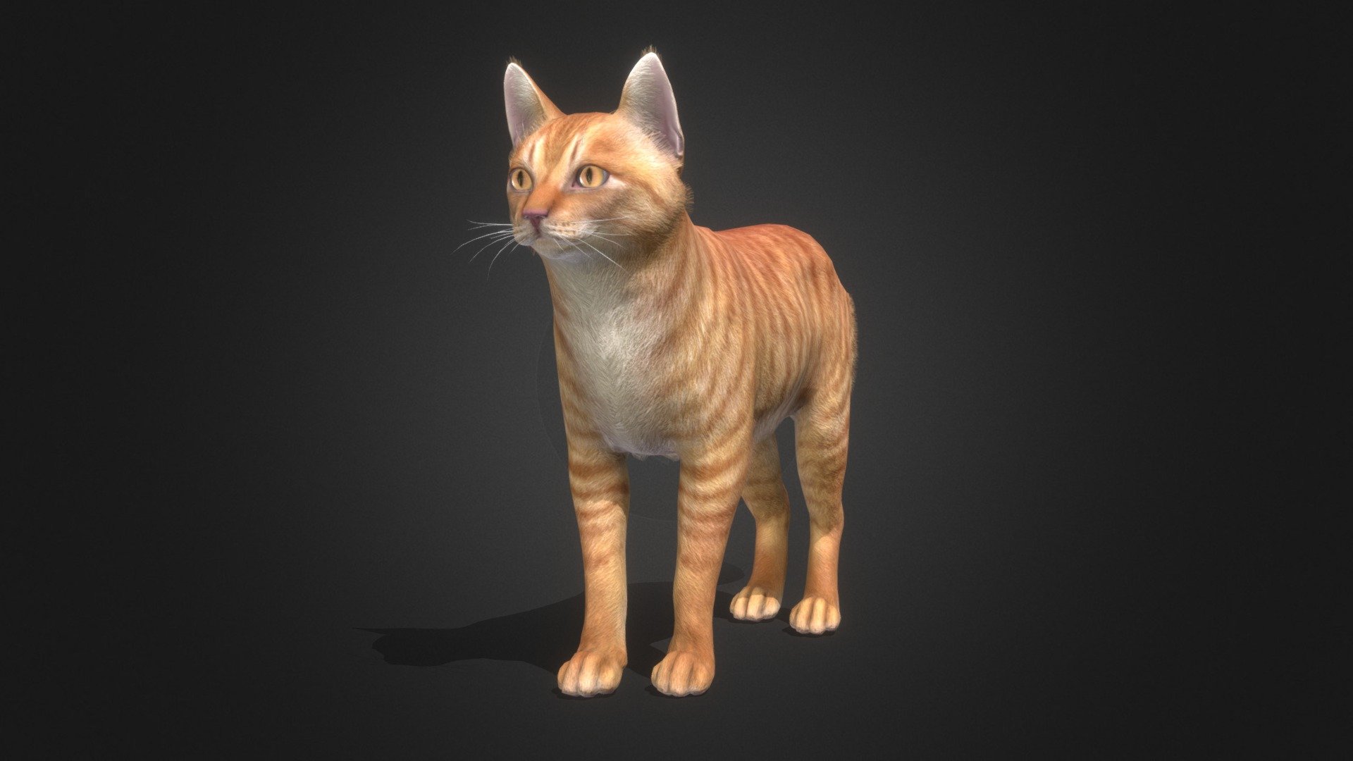 Simple cat model with 100 IP/PM animations and 6 colors. In the attached archive you will find all files with animations.
If you have any questions, please email me 3d model