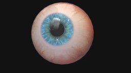 Eyeball eye, eyeball, eyes, retina, iris, sclera, human