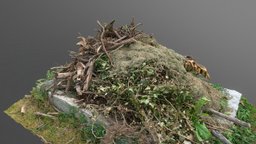 Cut branches grass campfire grass, garden, pit, trim, 3d-scan, prop, medieval, branches, pile, cut, leaf, waste, branch, props, 3d-scanning, firepit, dry, mound, authentic, downloadable, gardening, heap, lawn, freemodel, mowing, photoscan, photogrammetry, asset, game, home, free, leaves, download, material, ue5, mown, capfirefire
