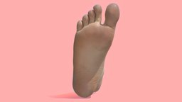 Mens Foot 3D Scan