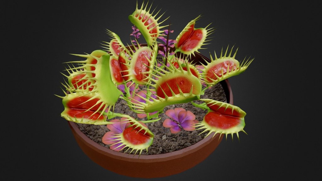 Created with ZBrush, Maya, Substance - Venus FlyTrap - 3D model by hasbiadenan 3d model