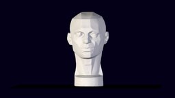 planes of the head study, plans, bodyscan, asaro, 3dscanning, head, artist, zbrush-sculpt, lopolymodel, 3d, 3dscan, zbrush, 3dmodel, sculpture, asaro-head, asarojohn, asaro-head-low-poly