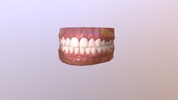 Teeth teeth, substancepainter, substance