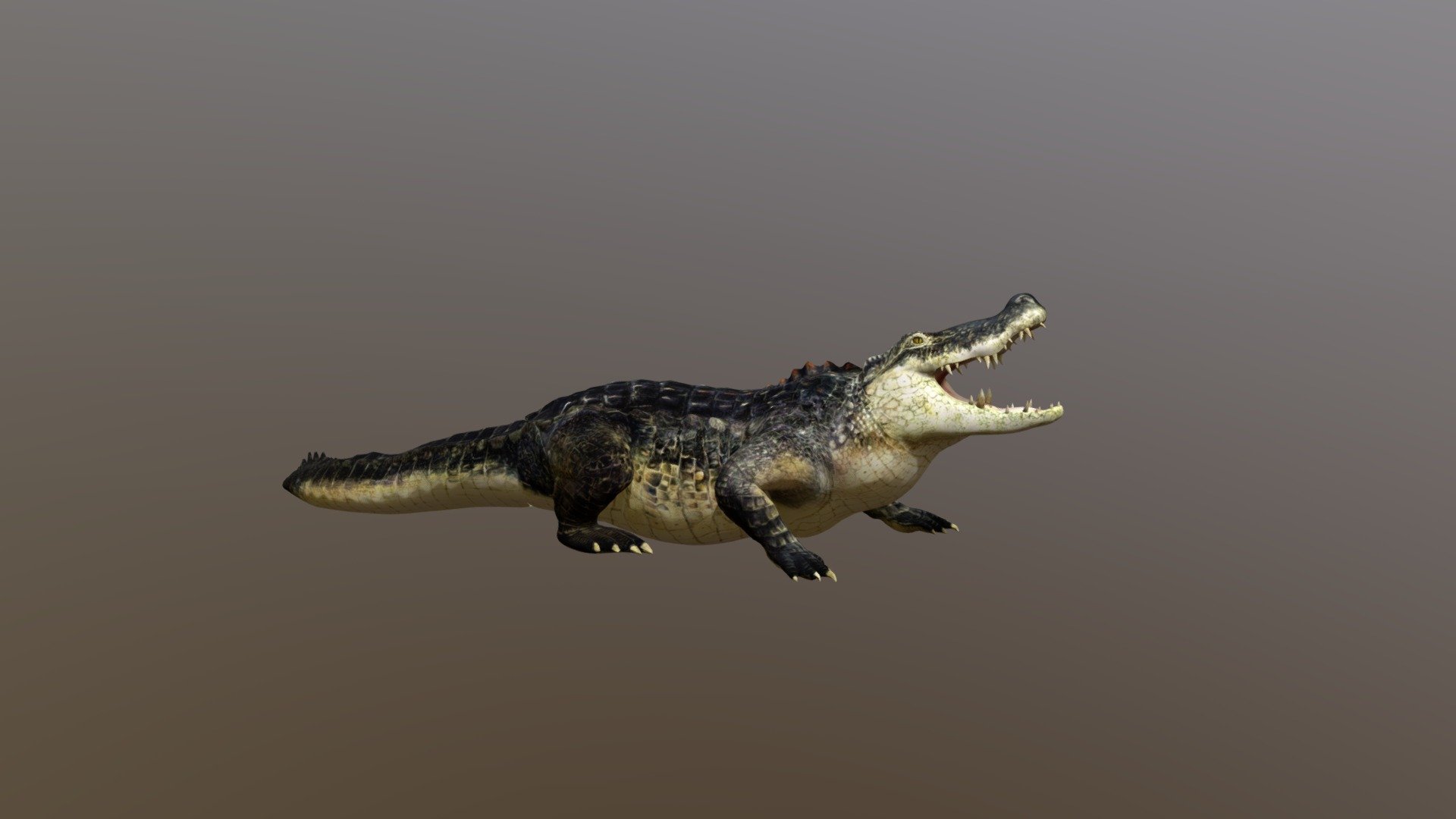 Low poly crocodile - Crocodile - 3D model by kenchoo 3d model