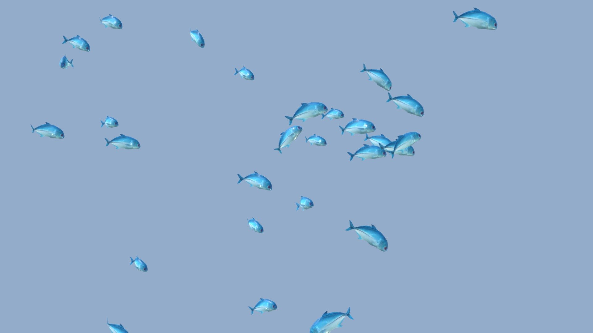 School of fish animated in a loop.

The school of fish contains 30 fish. 

The fish created in Maya. 

All Fish Animated in the loop duration 36 sec.



This is a 2.0 version

this SchoolingFish has the following changes:

1. There are include two new type of textures (Normal, Metallic).

2. Increased texture resolution to 1024 x 1024 px.

3. Redesigned rig. Added root a bone in each fish-rig. Changes have been made to the Scale Settings of bones. This led to involuntary deformations of the mesh.



If for some reason you do not have these changes, please email me 3d model