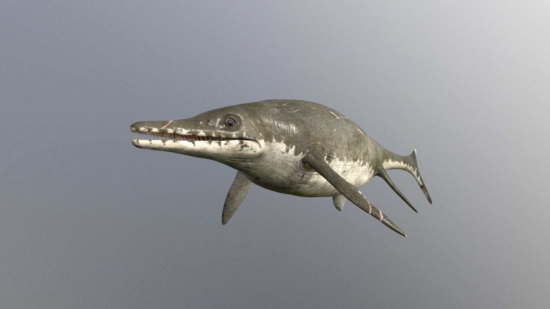 hello here a old  ichthyosaur model

Instagram https://www.instagram.com/julian_johnson1234/ - ichthyosaurus - Download Free 3D model by Julian Johnson-Mortimer (@FreddyFoxFreddy) 3d model