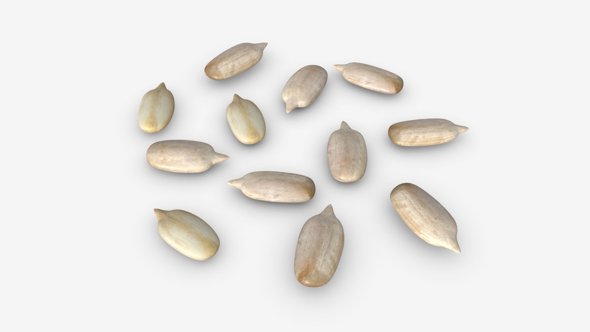 Sunflower seeds 02 - Buy Royalty Free 3D model by HQ3DMOD (@AivisAstics) 3d model